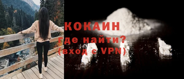 шишки Мегион