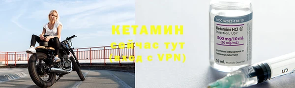 шишки Мегион