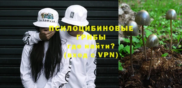 шишки Мегион