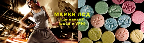 шишки Мегион