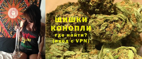шишки Мегион