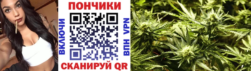 МАРИХУАНА семена Павловская